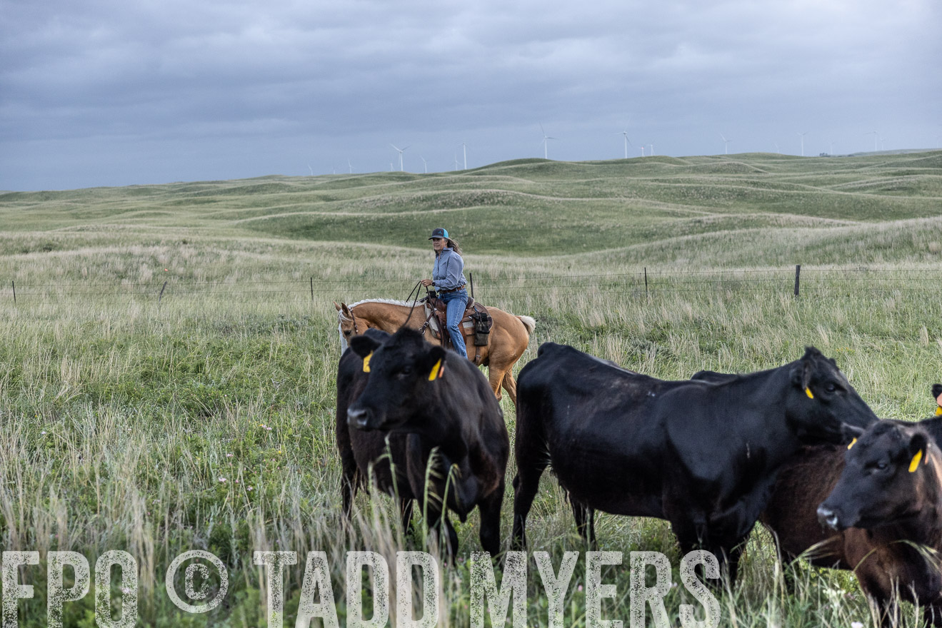 TMyers_PP_FinneyRanch_Nebraska_June2024-517305