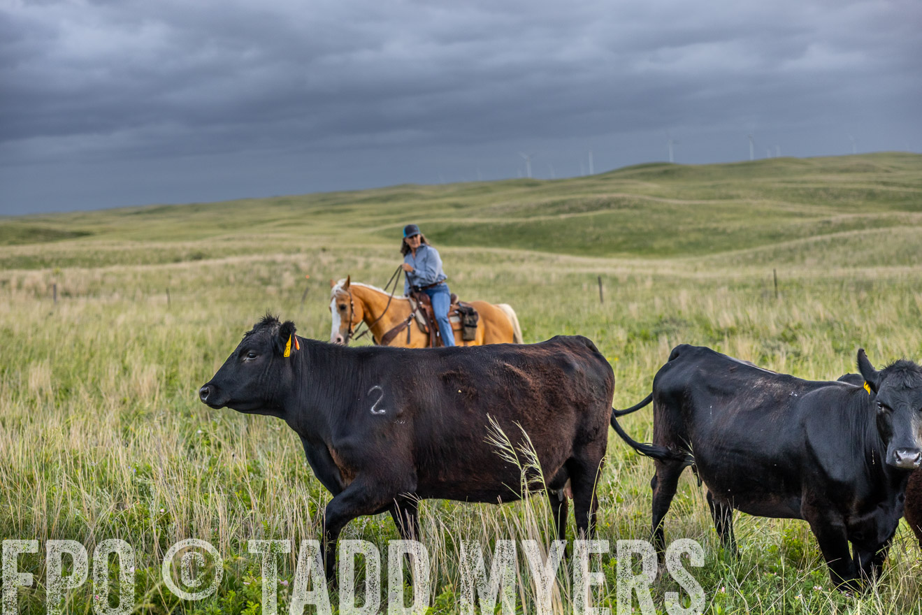 TMyers_PP_FinneyRanch_Nebraska_June2024-517311