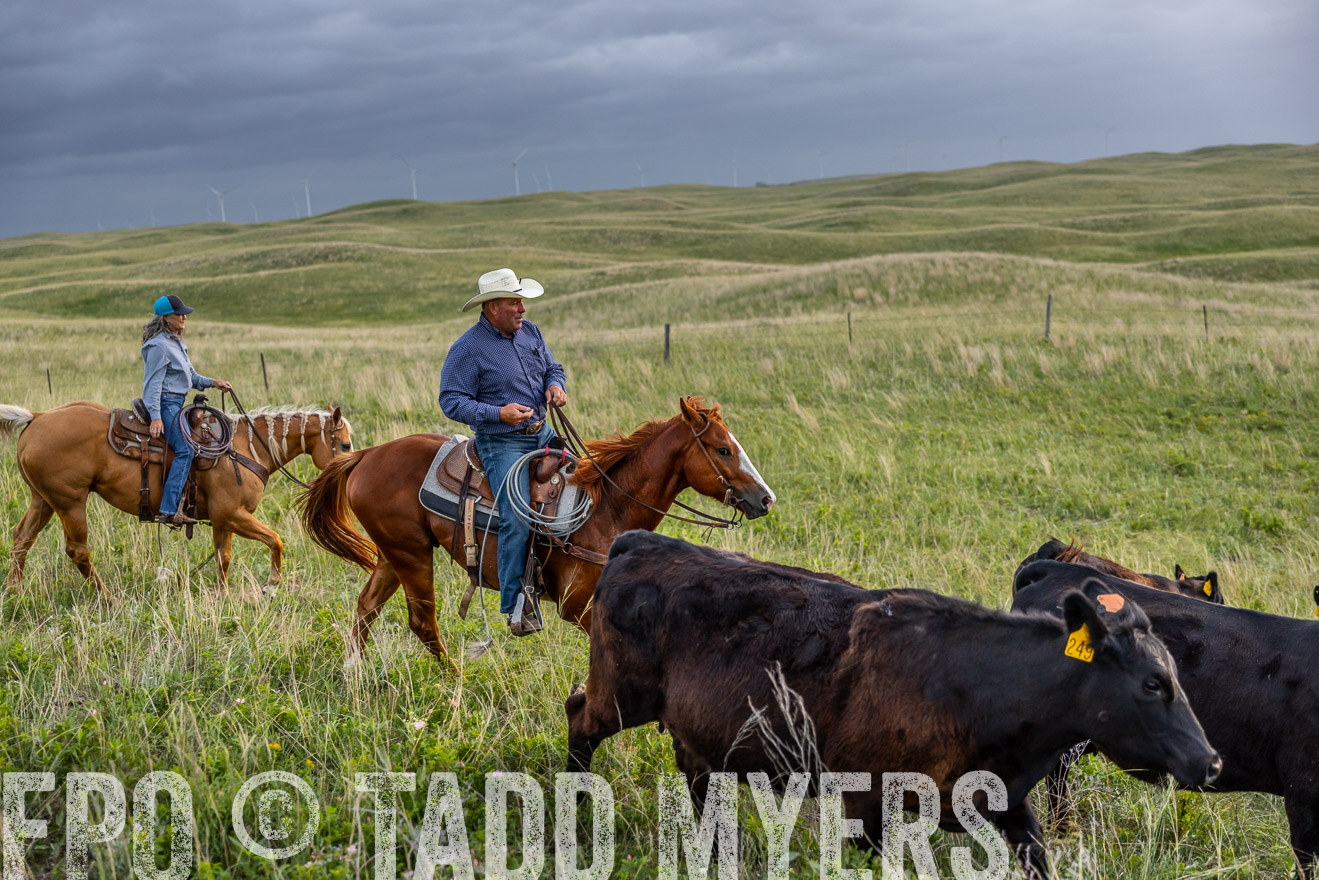TMyers_PP_FinneyRanch_Nebraska_June2024-517342