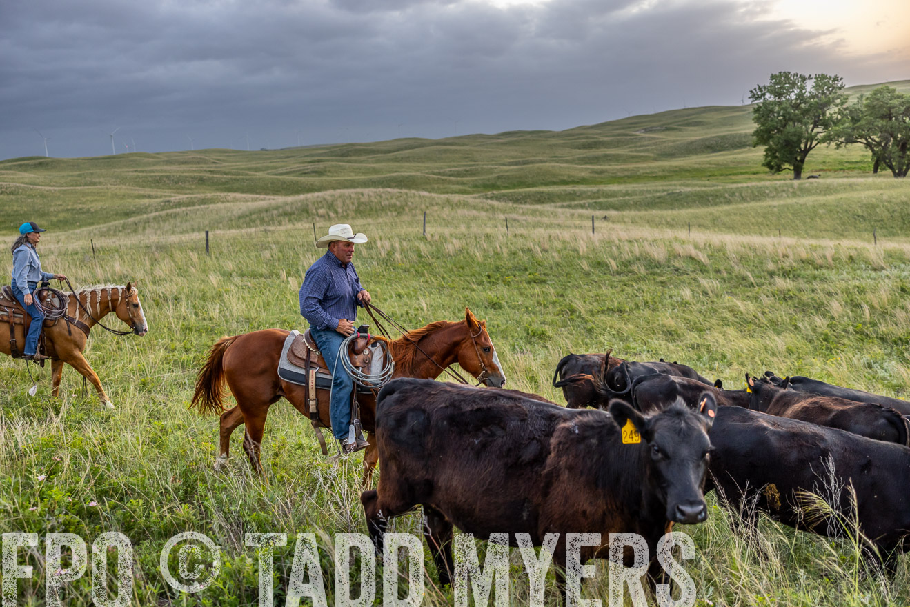 TMyers_PP_FinneyRanch_Nebraska_June2024-517353