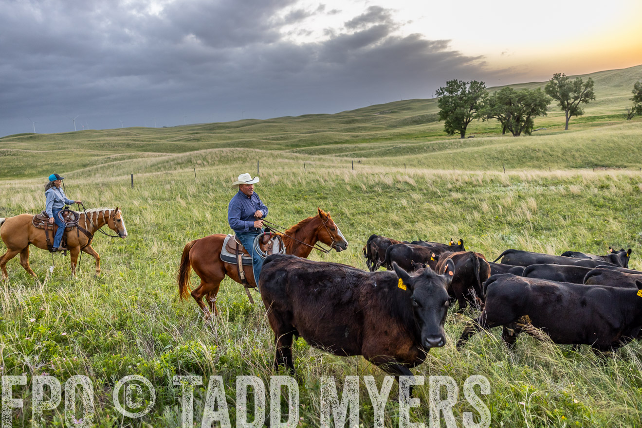 TMyers_PP_FinneyRanch_Nebraska_June2024-517355