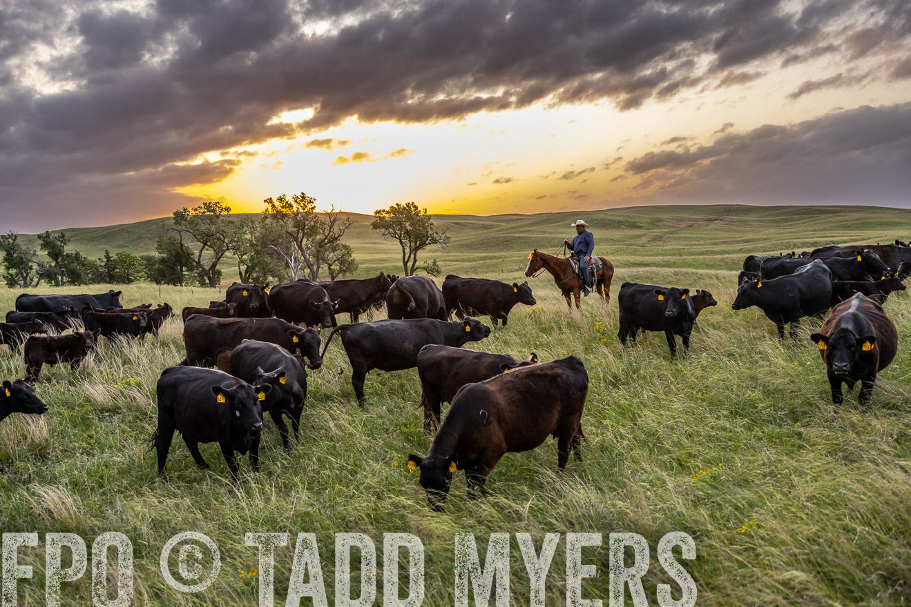 TMyers_PP_FinneyRanch_Nebraska_June2024-517548