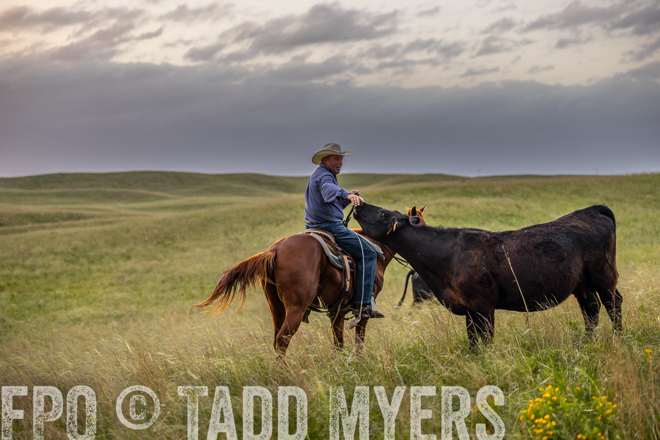 TMyers_PP_FinneyRanch_Nebraska_June2024-517682