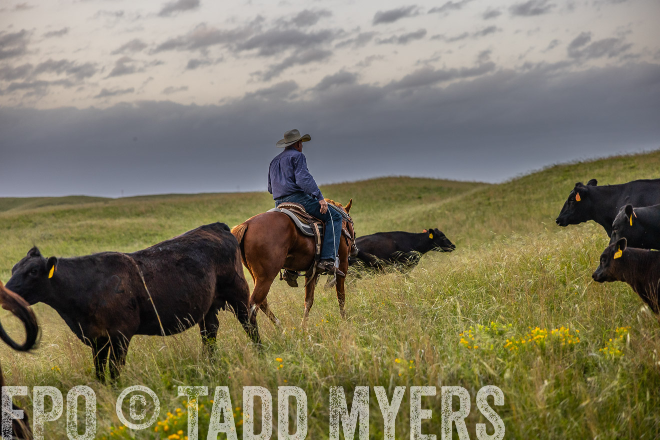 TMyers_PP_FinneyRanch_Nebraska_June2024-517688