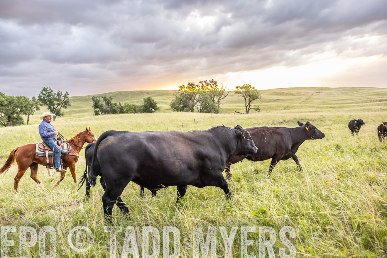 TMyers_PP_FinneyRanch_Nebraska_June2024-518182