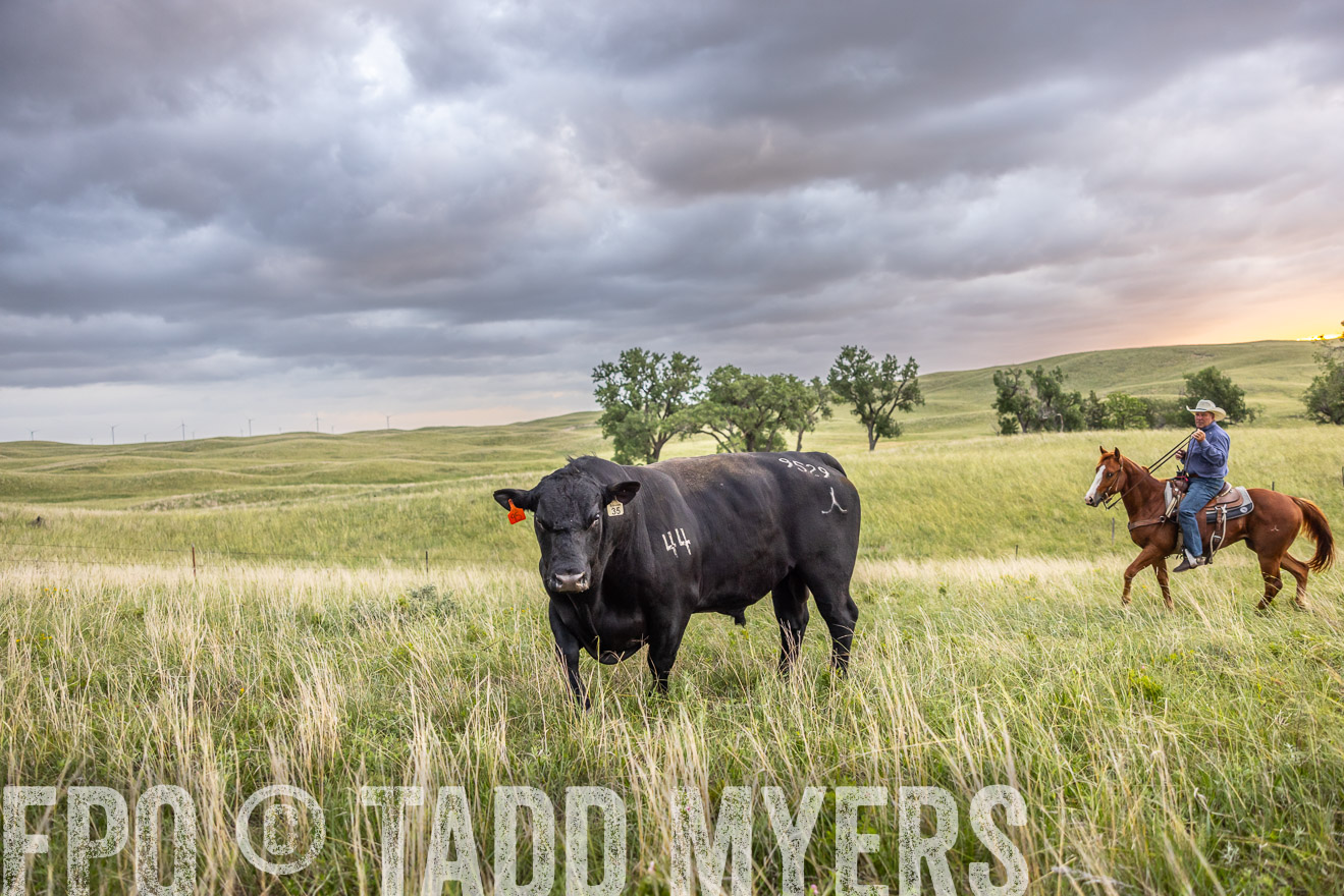 TMyers_PP_FinneyRanch_Nebraska_June2024-518233