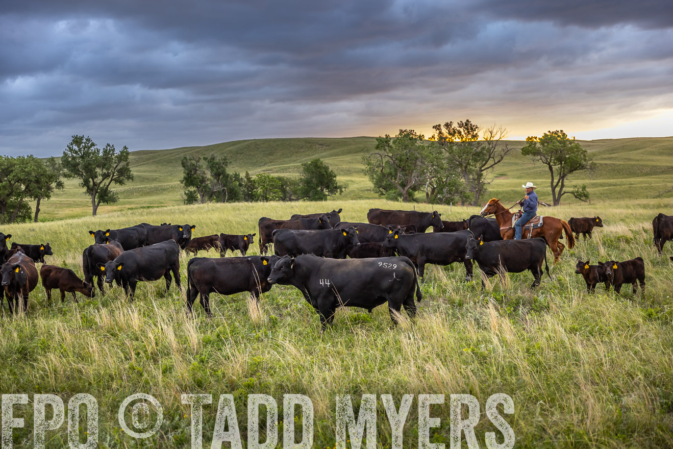 TMyers_PP_FinneyRanch_Nebraska_June2024-518389