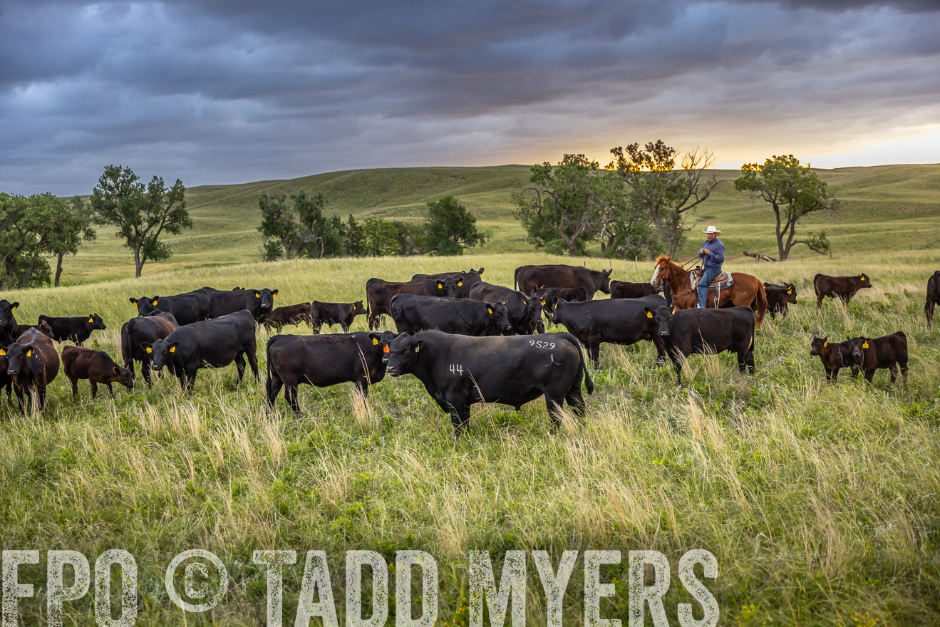 TMyers_PP_FinneyRanch_Nebraska_June2024-518392
