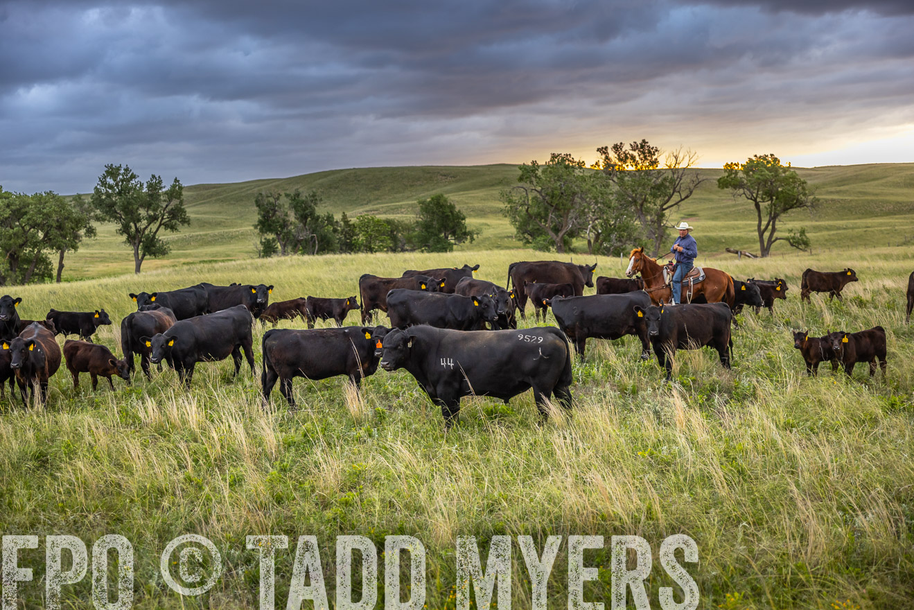 TMyers_PP_FinneyRanch_Nebraska_June2024-518396