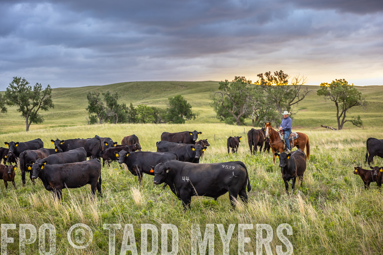 TMyers_PP_FinneyRanch_Nebraska_June2024-518407