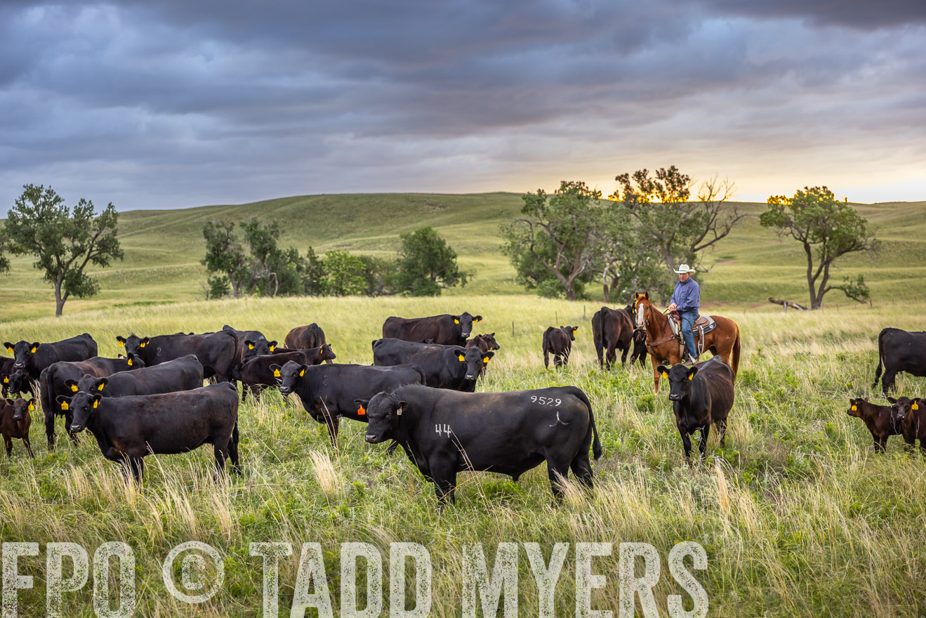 TMyers_PP_FinneyRanch_Nebraska_June2024-518410
