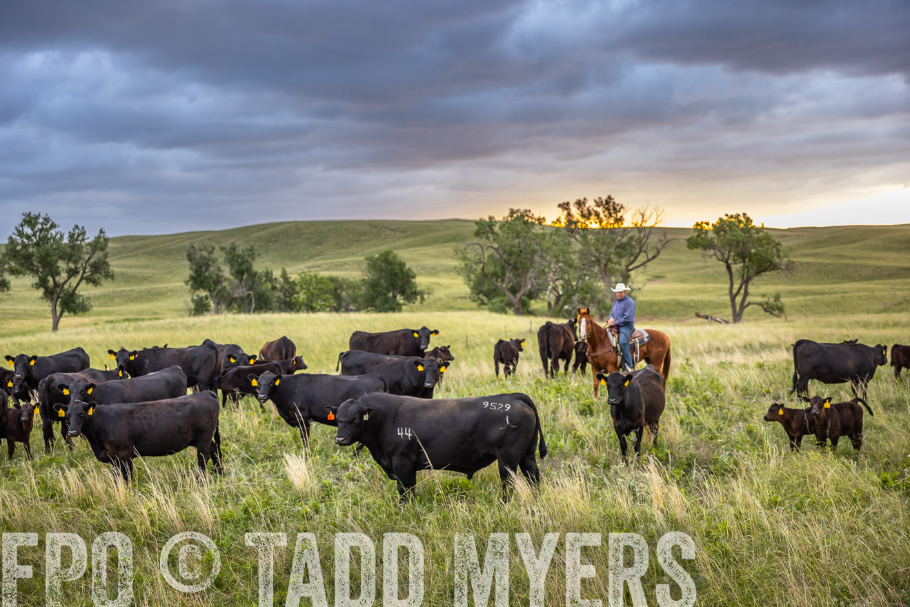 TMyers_PP_FinneyRanch_Nebraska_June2024-518414