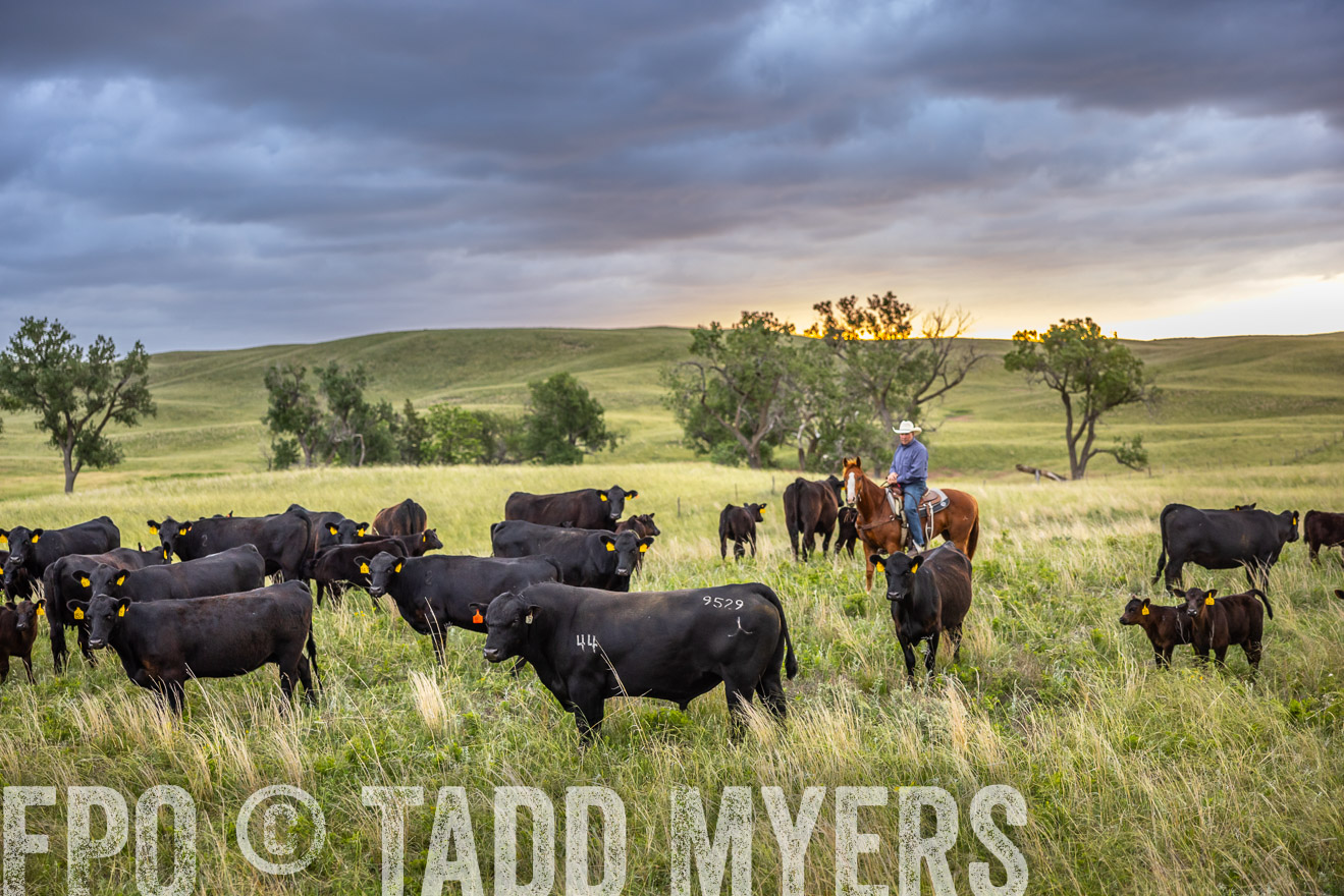 TMyers_PP_FinneyRanch_Nebraska_June2024-518417