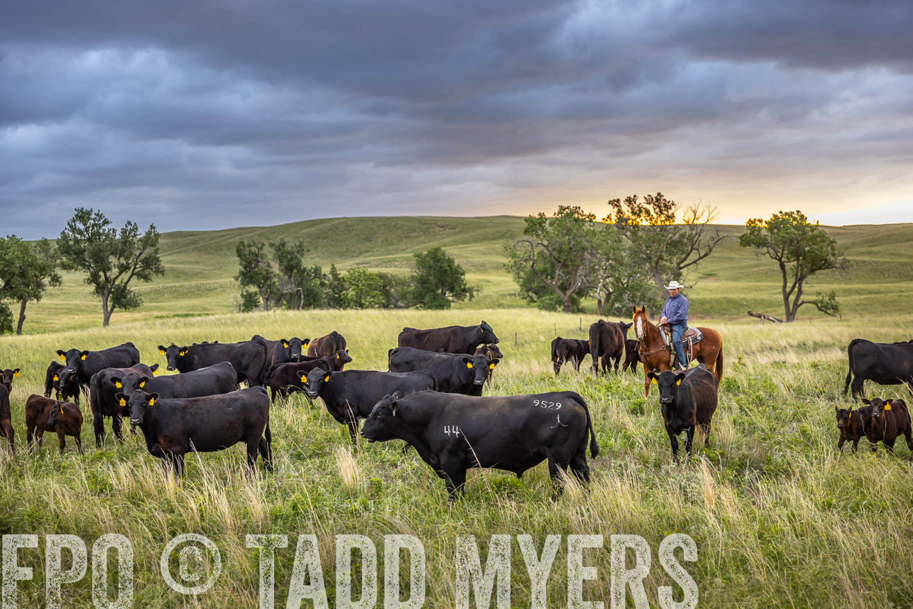 TMyers_PP_FinneyRanch_Nebraska_June2024-518425