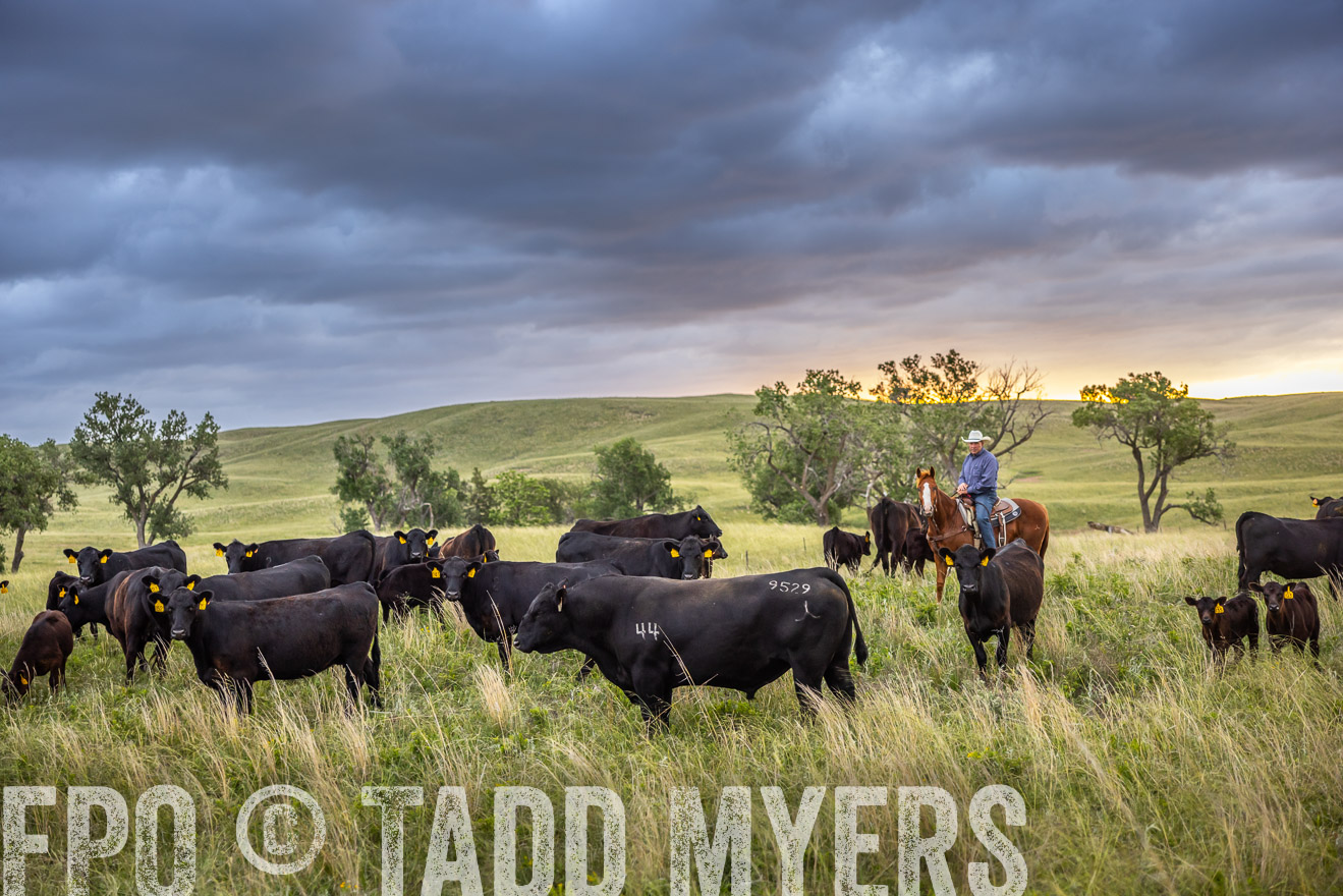 TMyers_PP_FinneyRanch_Nebraska_June2024-518429