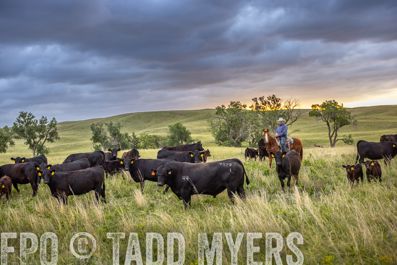 TMyers_PP_FinneyRanch_Nebraska_June2024-518437