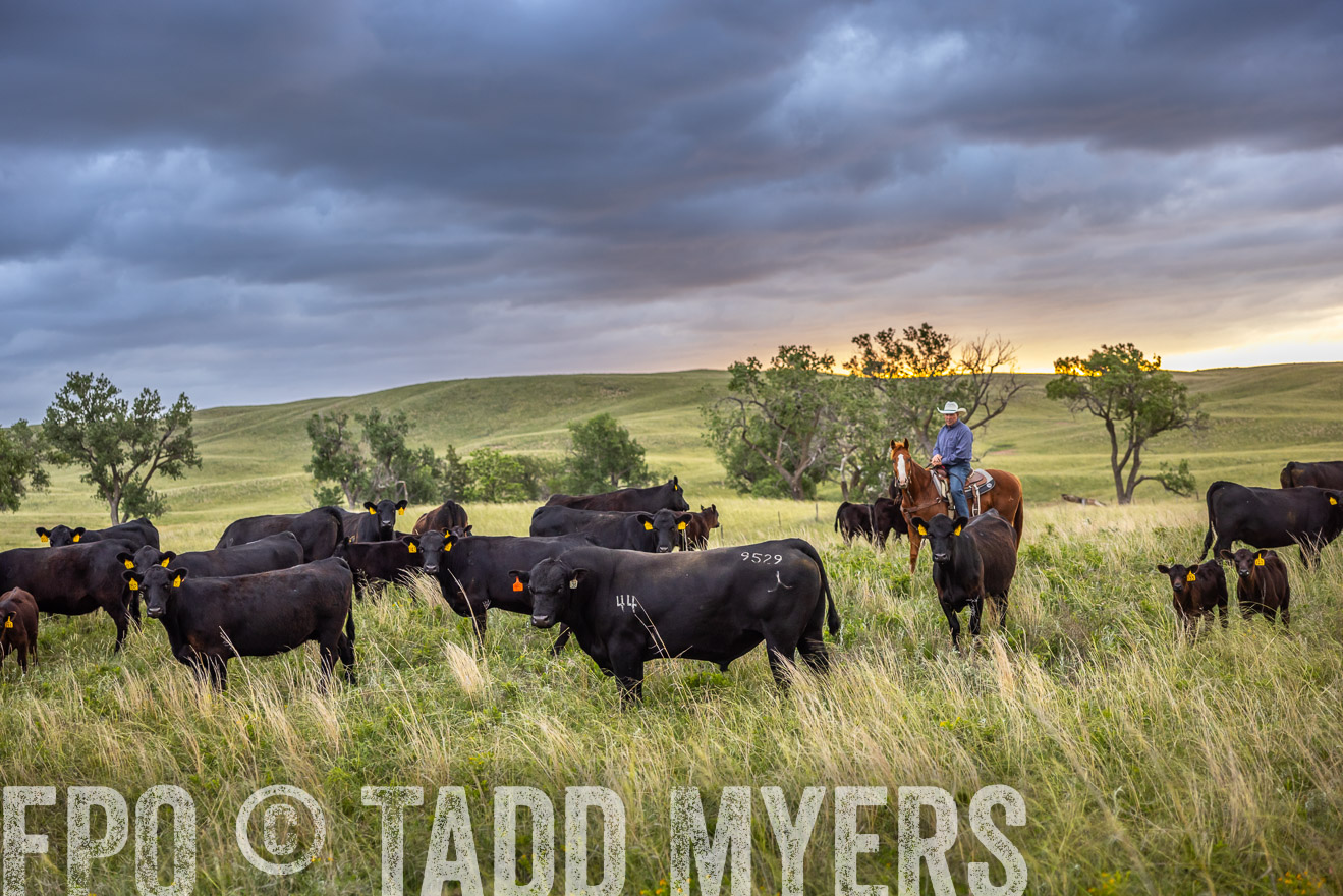 TMyers_PP_FinneyRanch_Nebraska_June2024-518442