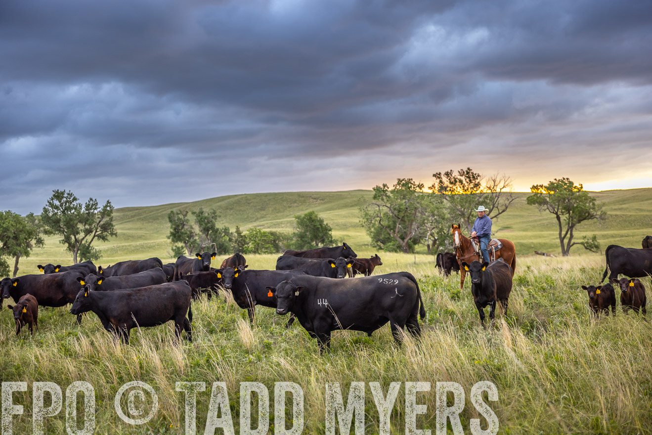 TMyers_PP_FinneyRanch_Nebraska_June2024-518449