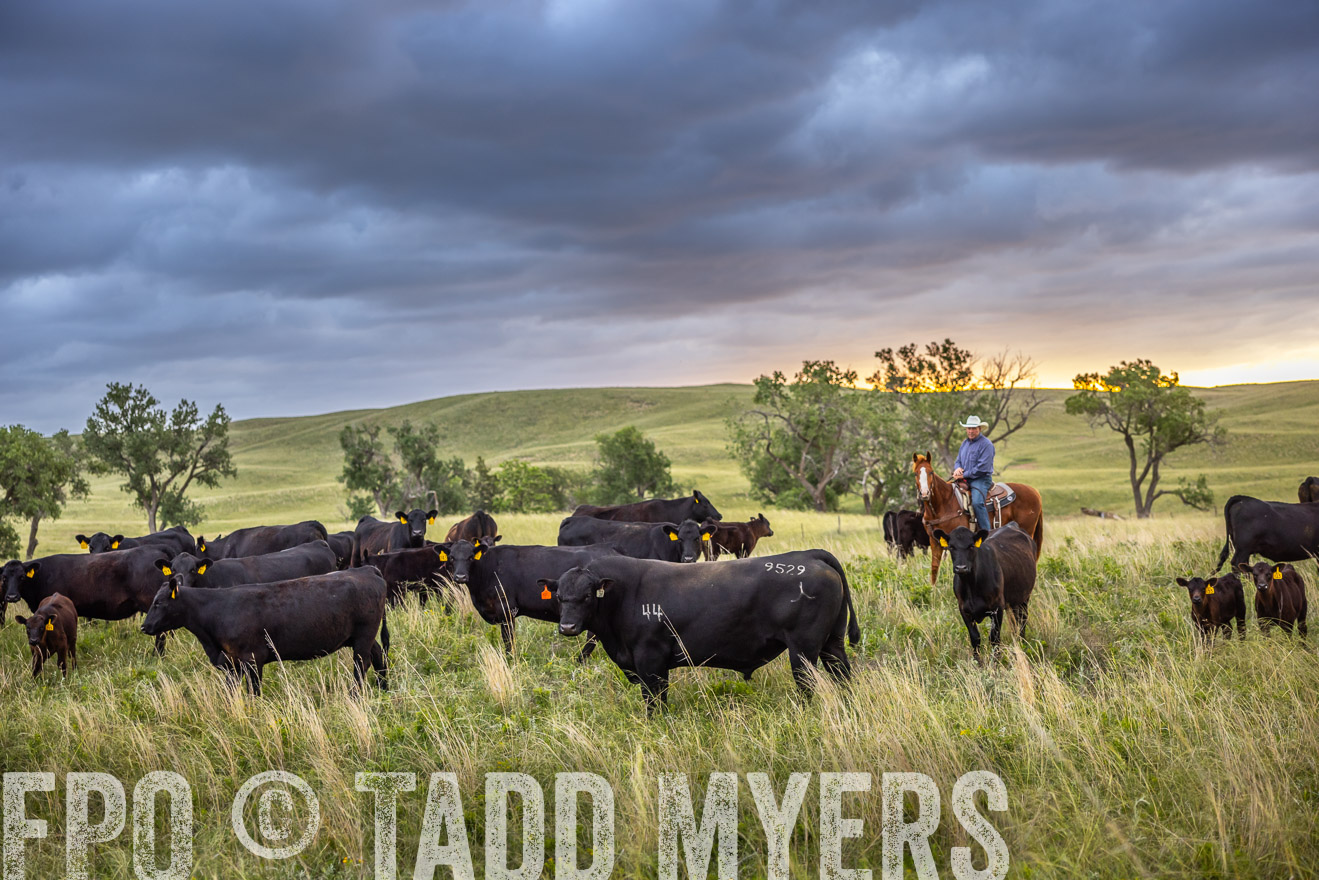 TMyers_PP_FinneyRanch_Nebraska_June2024-518450