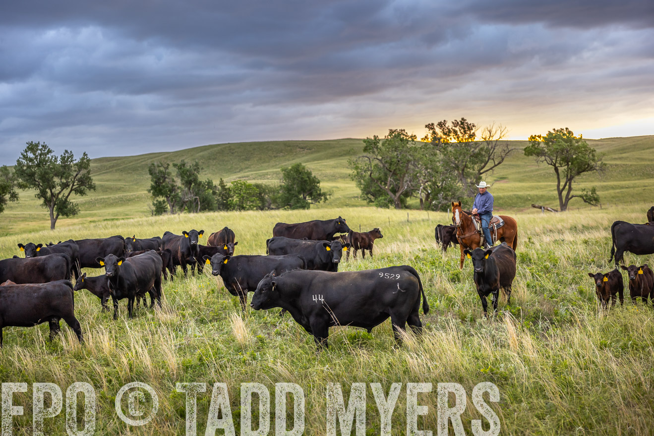 TMyers_PP_FinneyRanch_Nebraska_June2024-518459