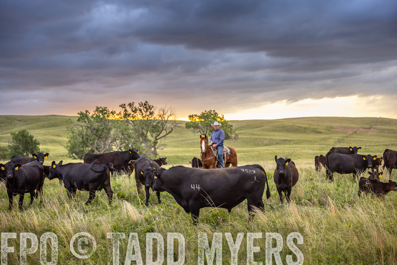 TMyers_PP_FinneyRanch_Nebraska_June2024-518471