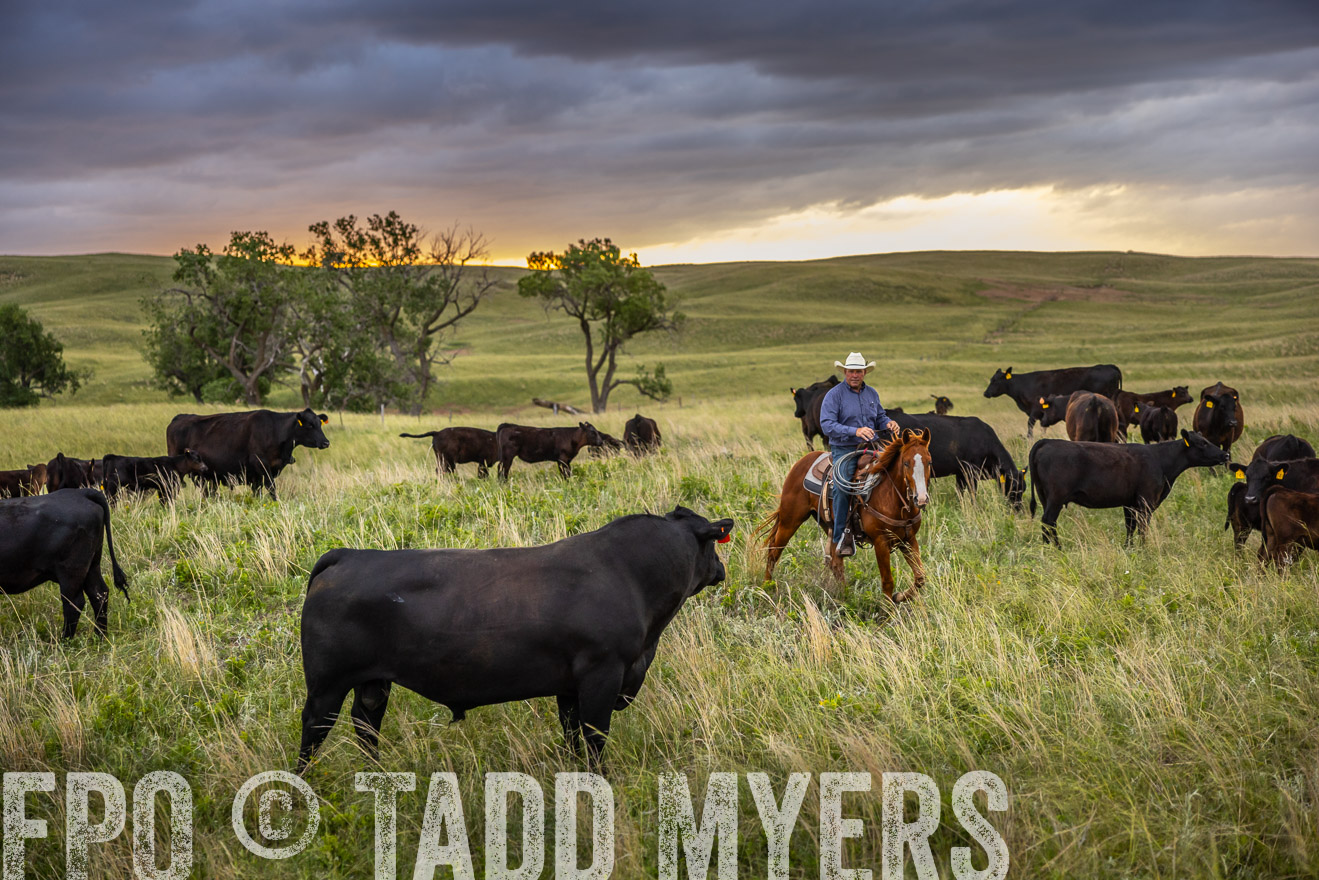 TMyers_PP_FinneyRanch_Nebraska_June2024-518493