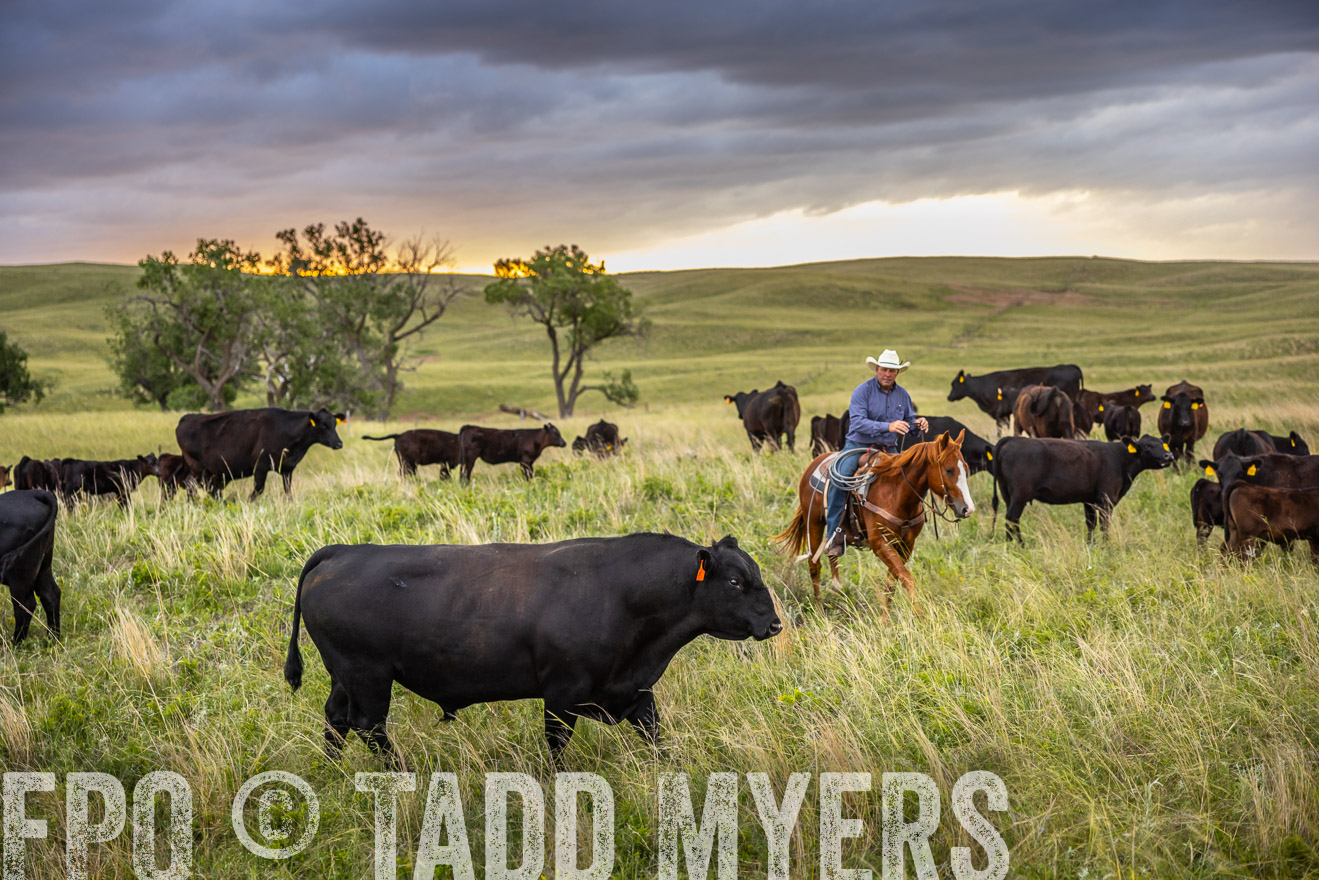 TMyers_PP_FinneyRanch_Nebraska_June2024-518495