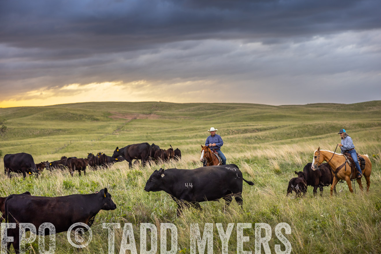TMyers_PP_FinneyRanch_Nebraska_June2024-518501