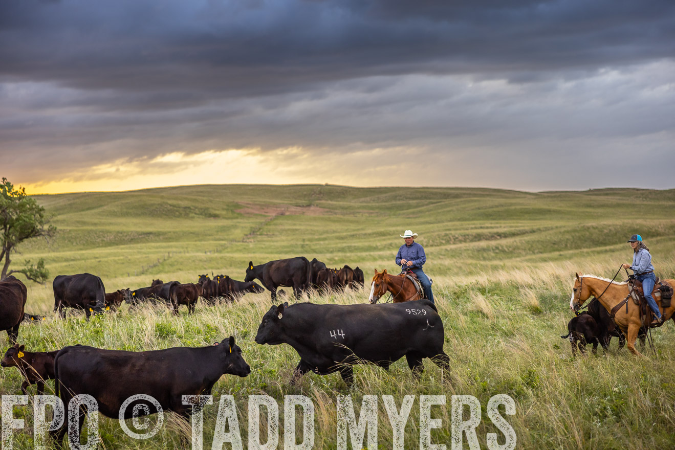 TMyers_PP_FinneyRanch_Nebraska_June2024-518505