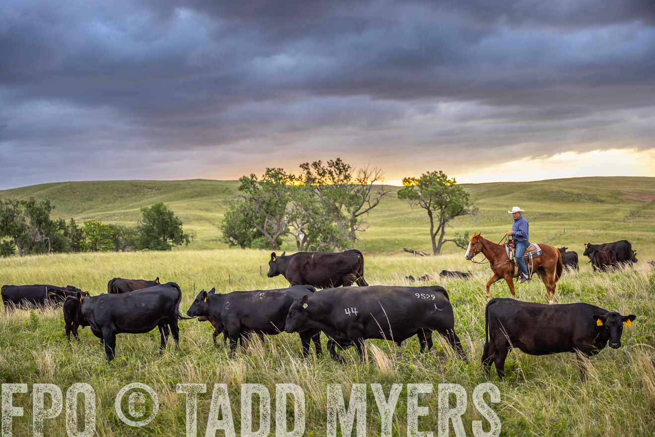 TMyers_PP_FinneyRanch_Nebraska_June2024-518529