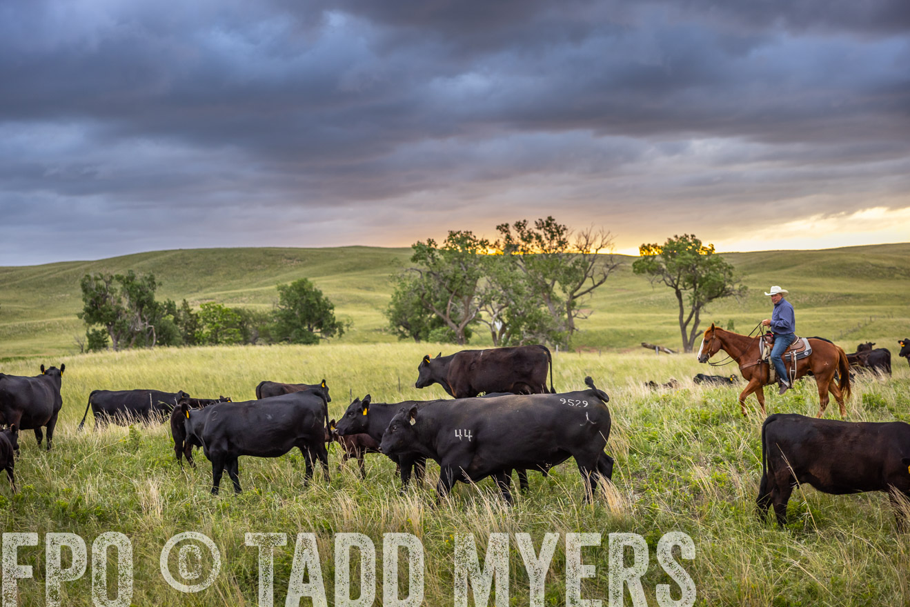 TMyers_PP_FinneyRanch_Nebraska_June2024-518537