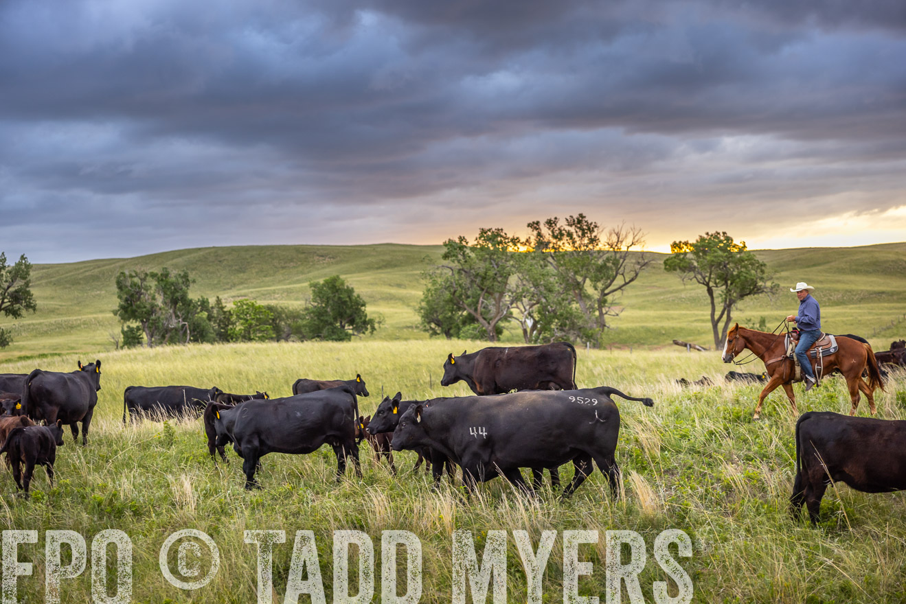 TMyers_PP_FinneyRanch_Nebraska_June2024-518538