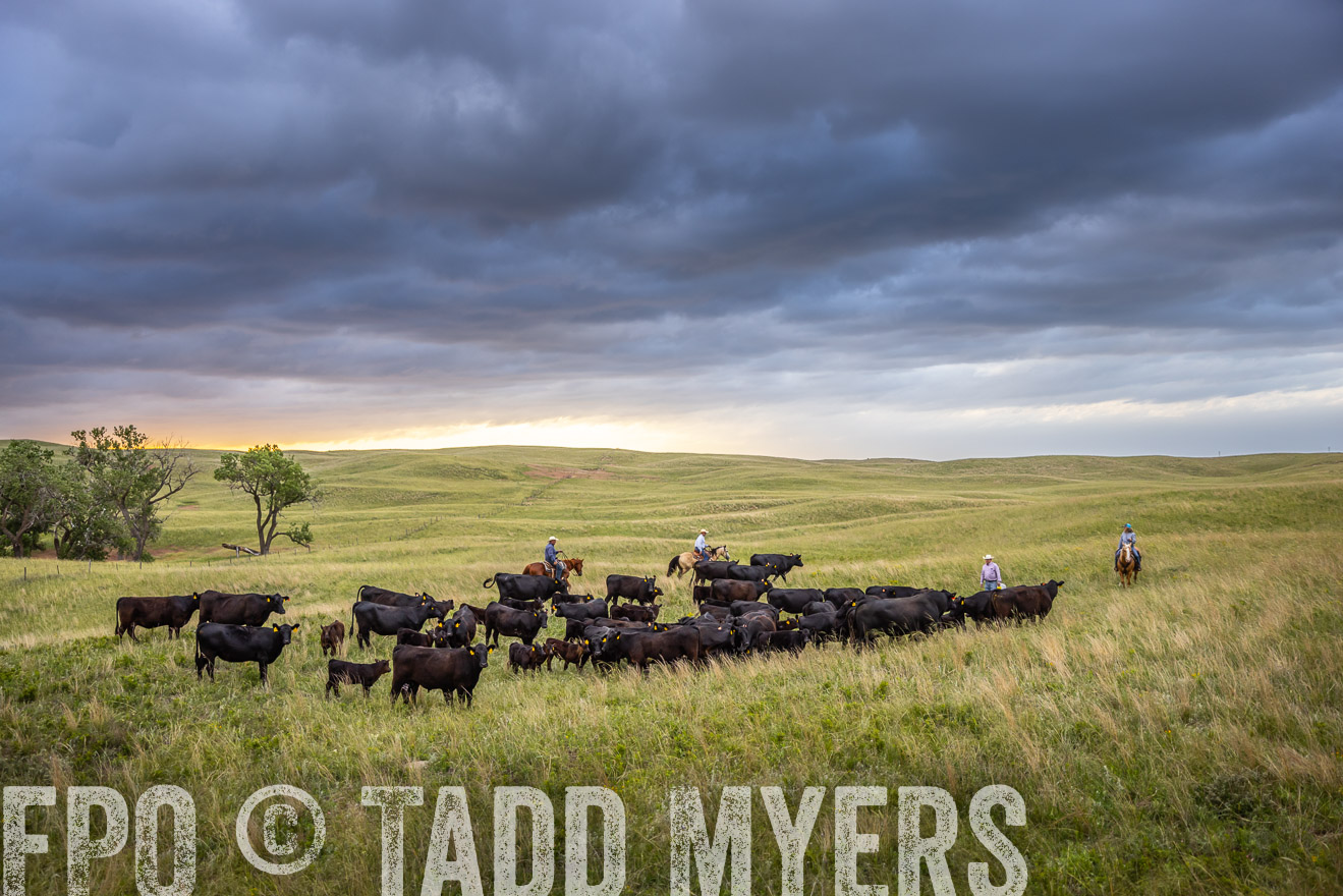 TMyers_PP_FinneyRanch_Nebraska_June2024-518578