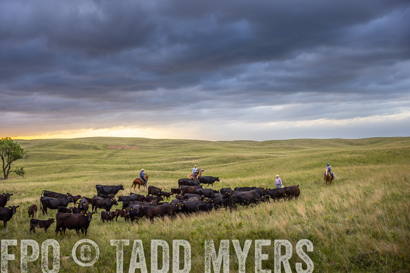 TMyers_PP_FinneyRanch_Nebraska_June2024-518583