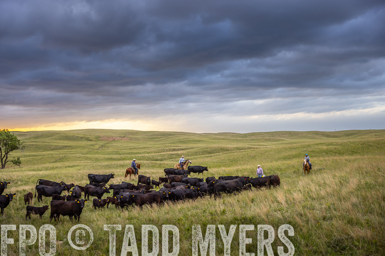 TMyers_PP_FinneyRanch_Nebraska_June2024-518587