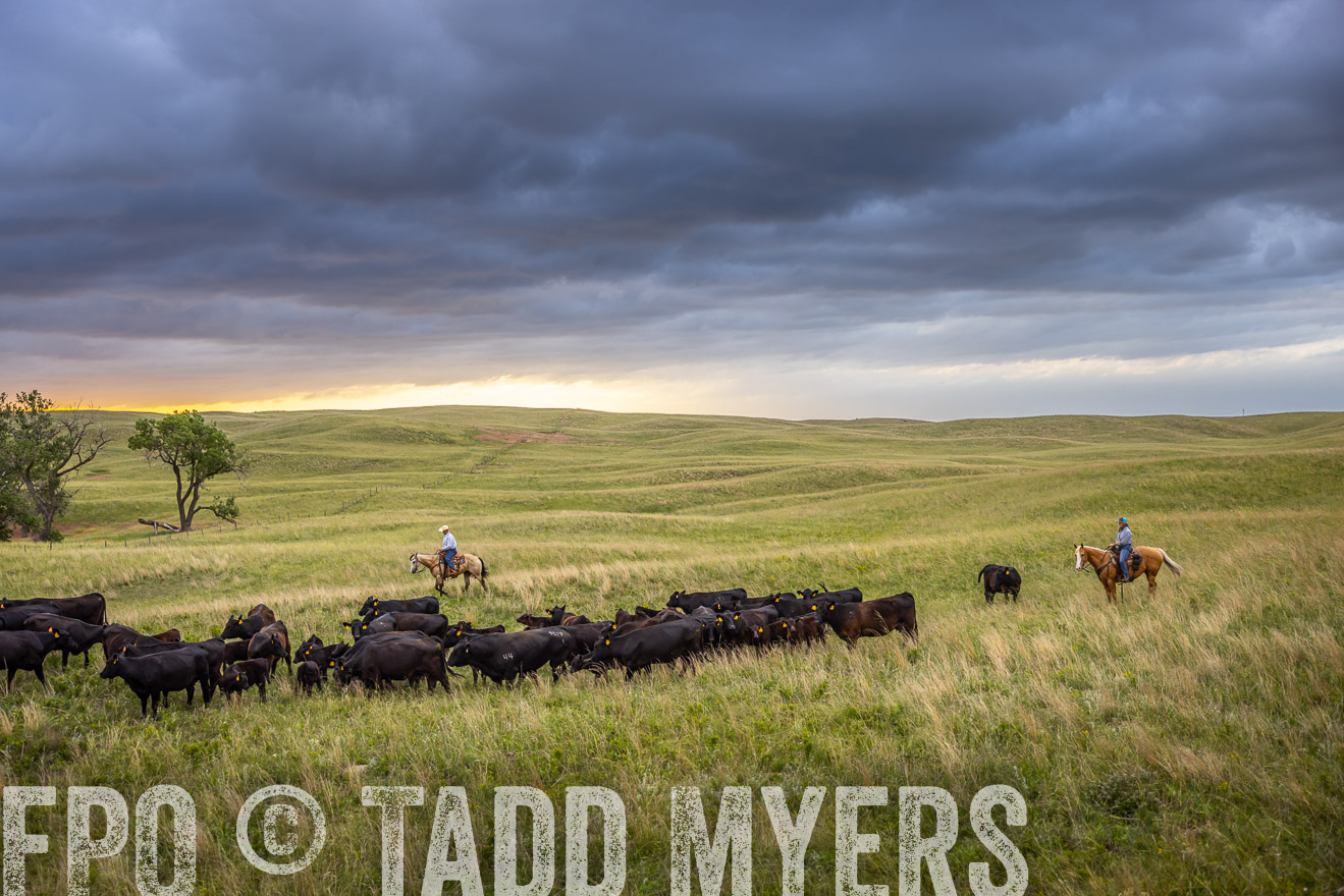 TMyers_PP_FinneyRanch_Nebraska_June2024-518601