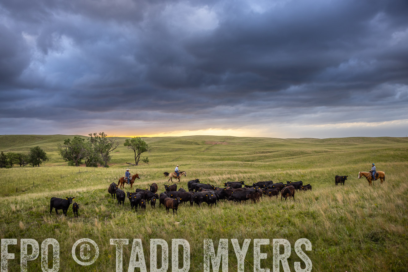 TMyers_PP_FinneyRanch_Nebraska_June2024-518620