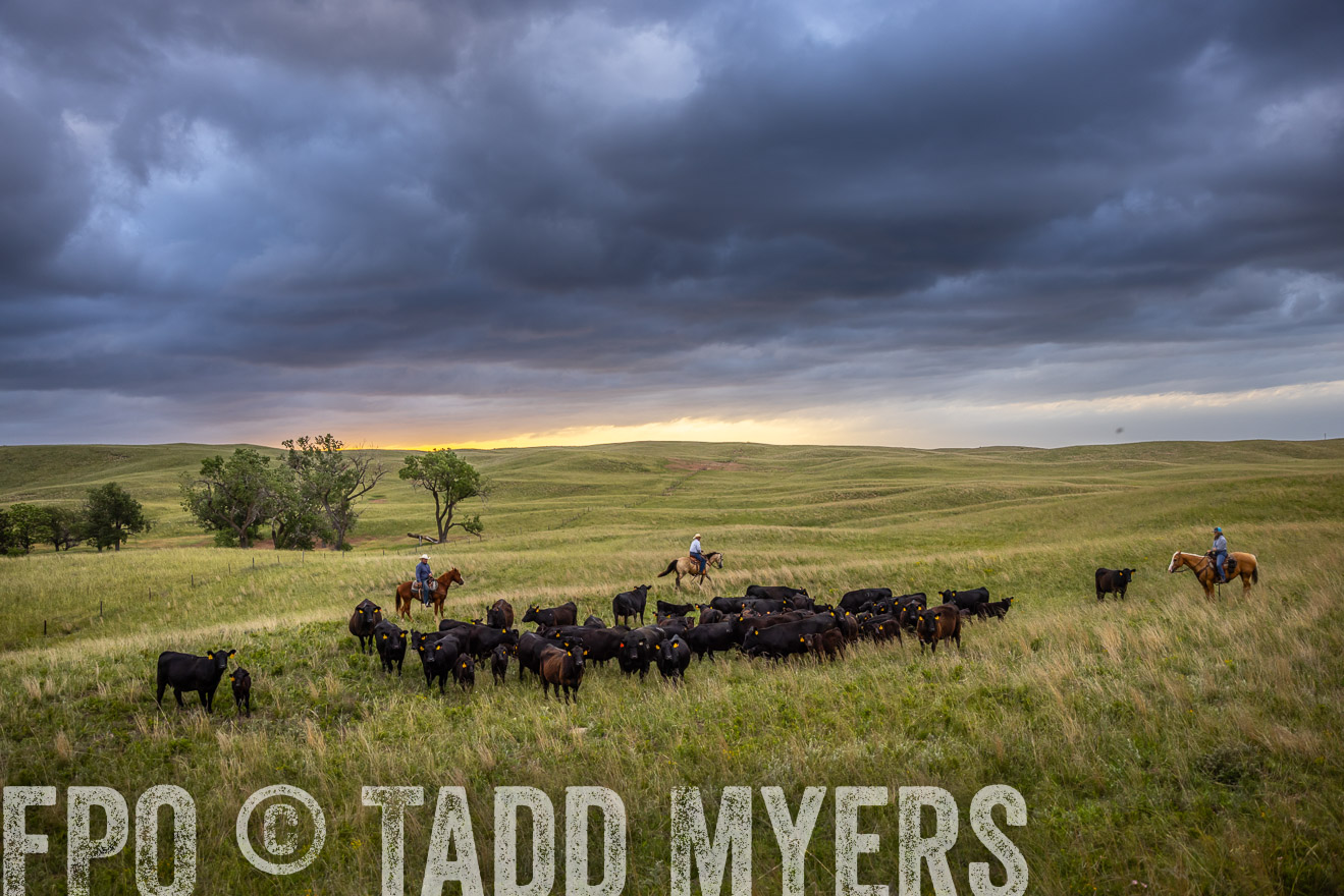 TMyers_PP_FinneyRanch_Nebraska_June2024-518636