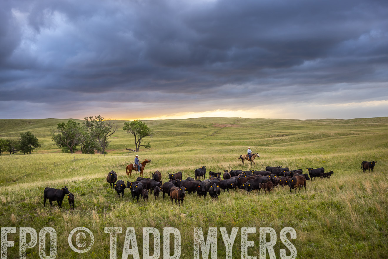 TMyers_PP_FinneyRanch_Nebraska_June2024-518647