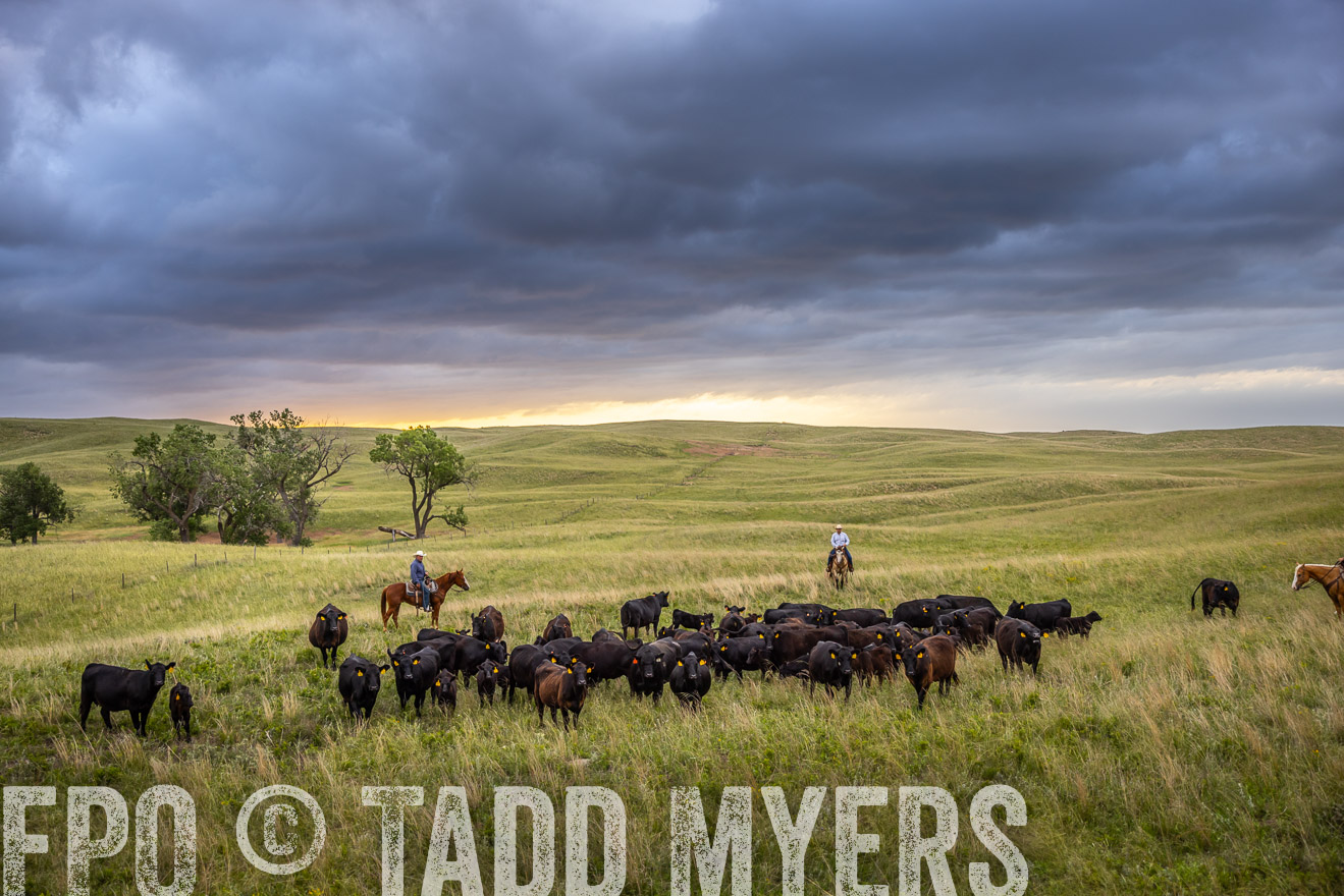 TMyers_PP_FinneyRanch_Nebraska_June2024-518658