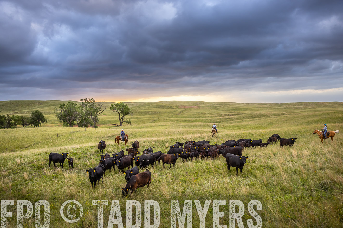TMyers_PP_FinneyRanch_Nebraska_June2024-518689