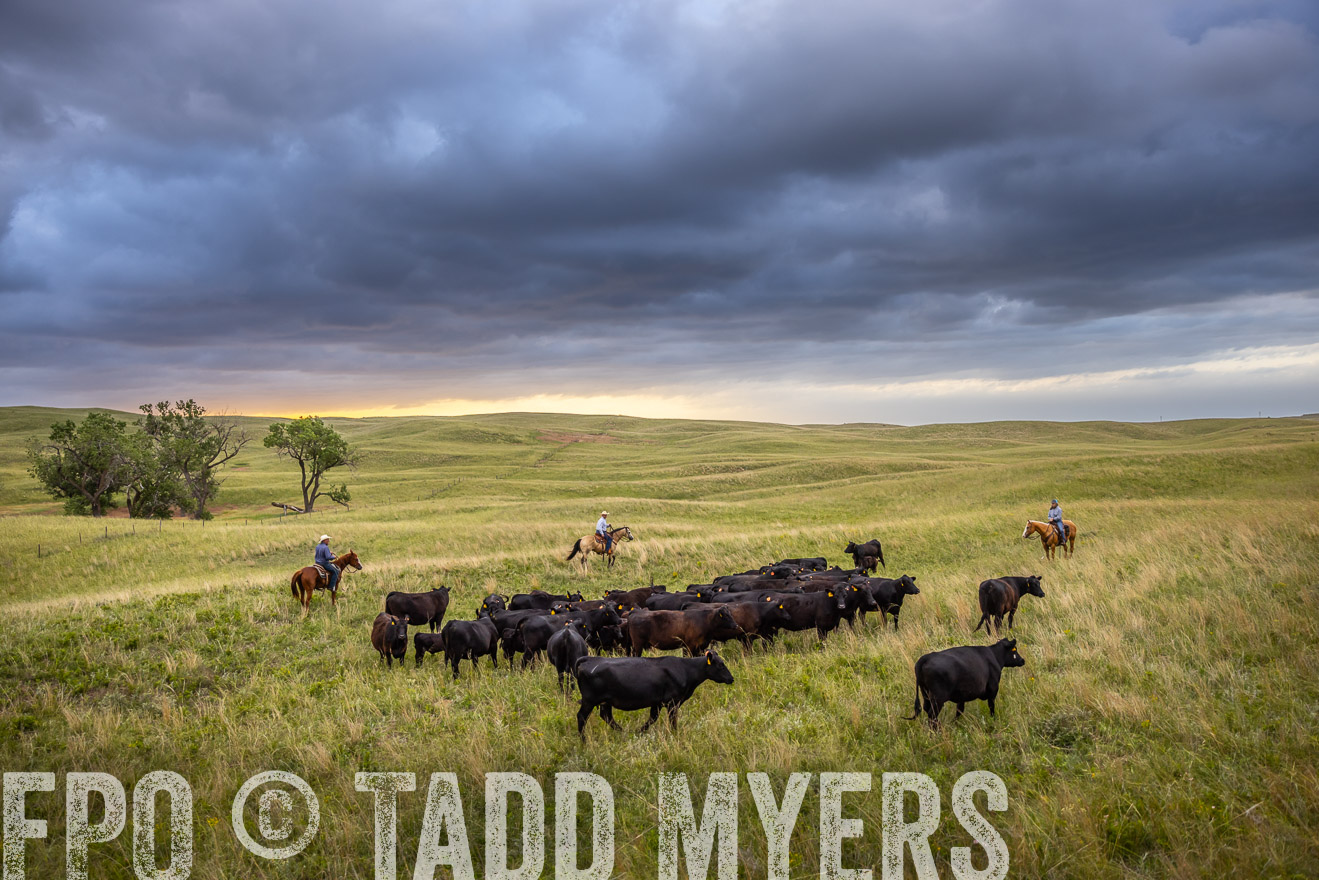 TMyers_PP_FinneyRanch_Nebraska_June2024-518724