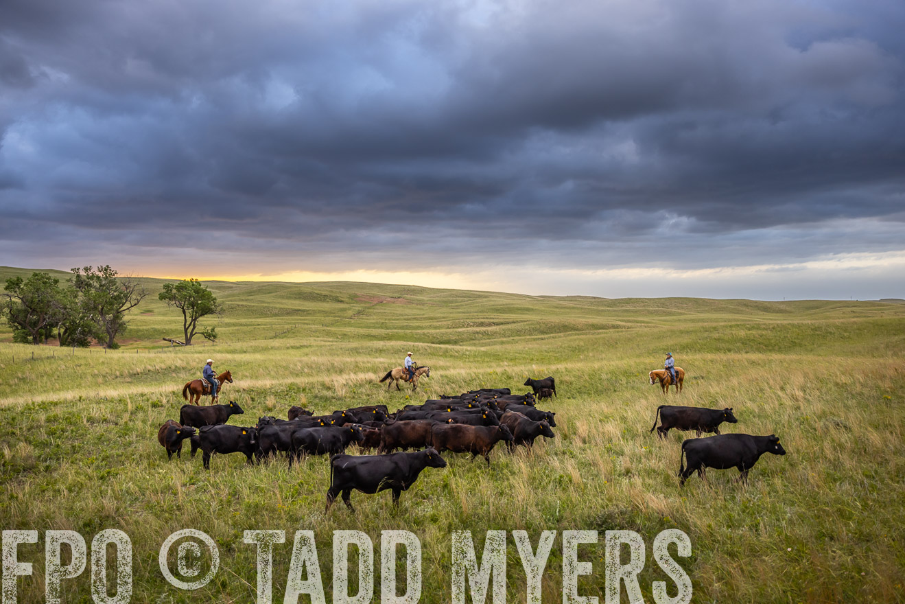 TMyers_PP_FinneyRanch_Nebraska_June2024-518731