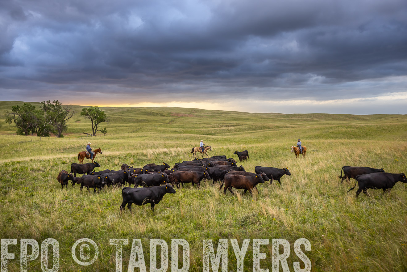 TMyers_PP_FinneyRanch_Nebraska_June2024-518738