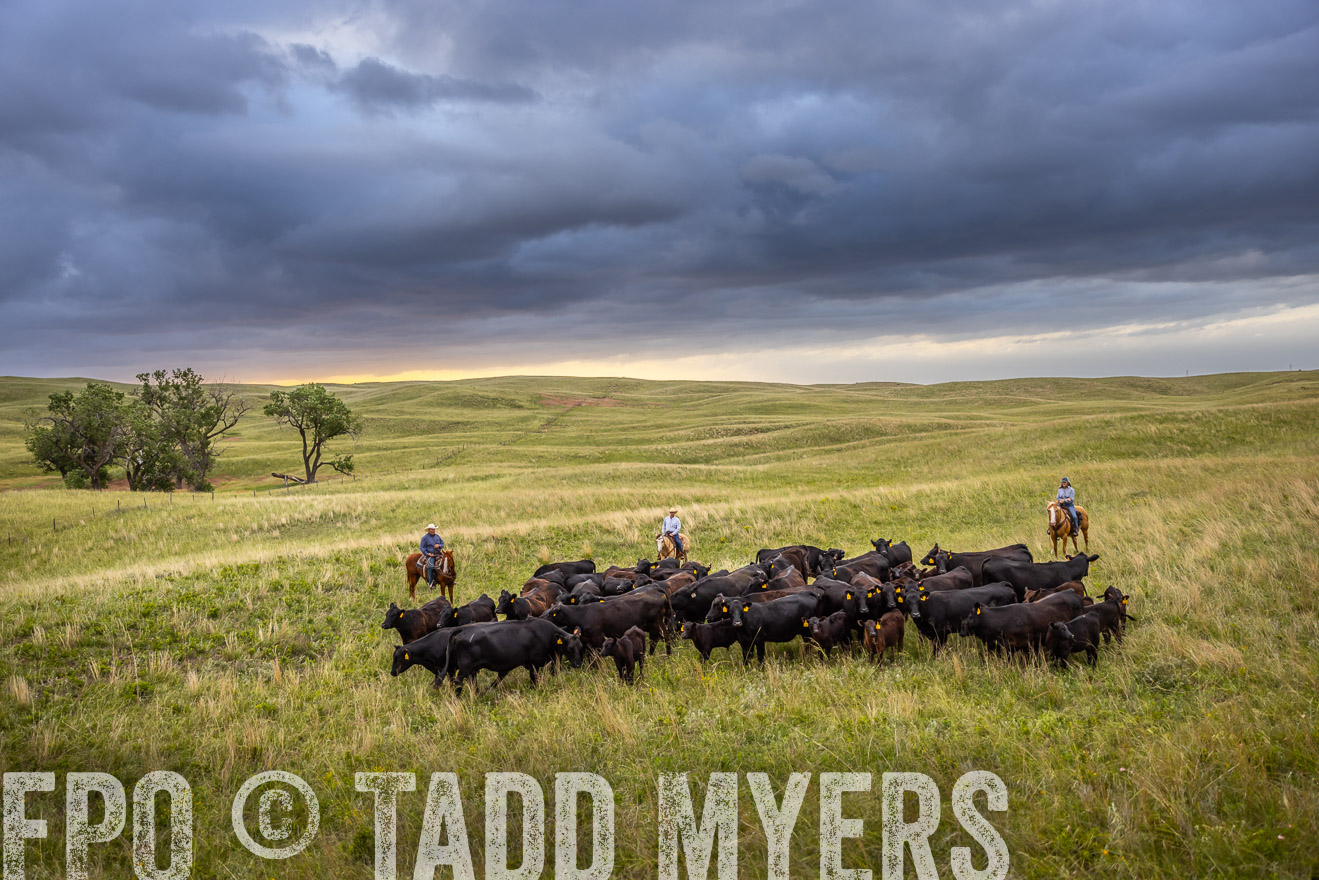 TMyers_PP_FinneyRanch_Nebraska_June2024-518790