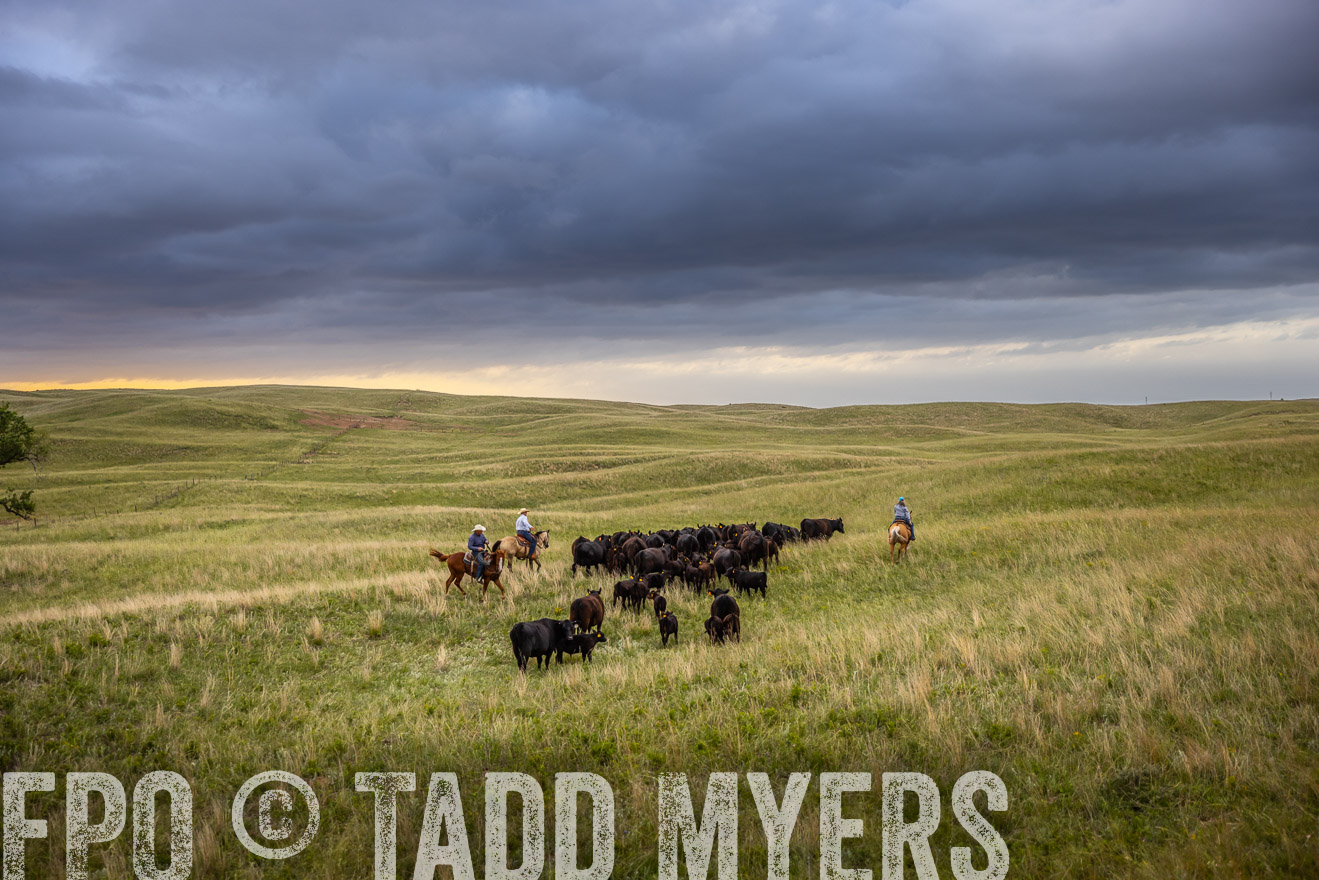 TMyers_PP_FinneyRanch_Nebraska_June2024-518801