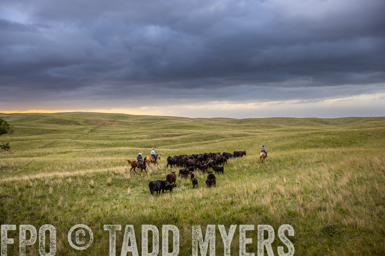 TMyers_PP_FinneyRanch_Nebraska_June2024-518802