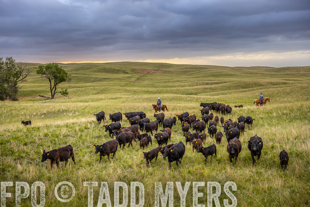 TMyers_PP_FinneyRanch_Nebraska_June2024-518839