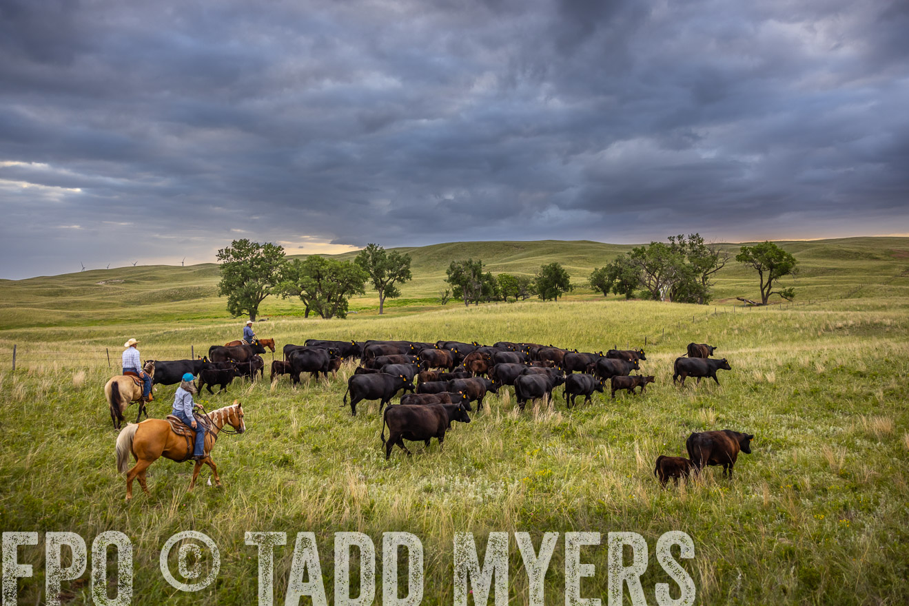 TMyers_PP_FinneyRanch_Nebraska_June2024-519029