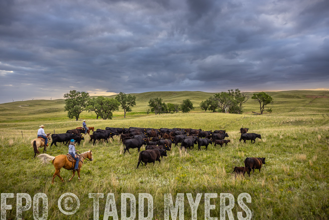 TMyers_PP_FinneyRanch_Nebraska_June2024-519038